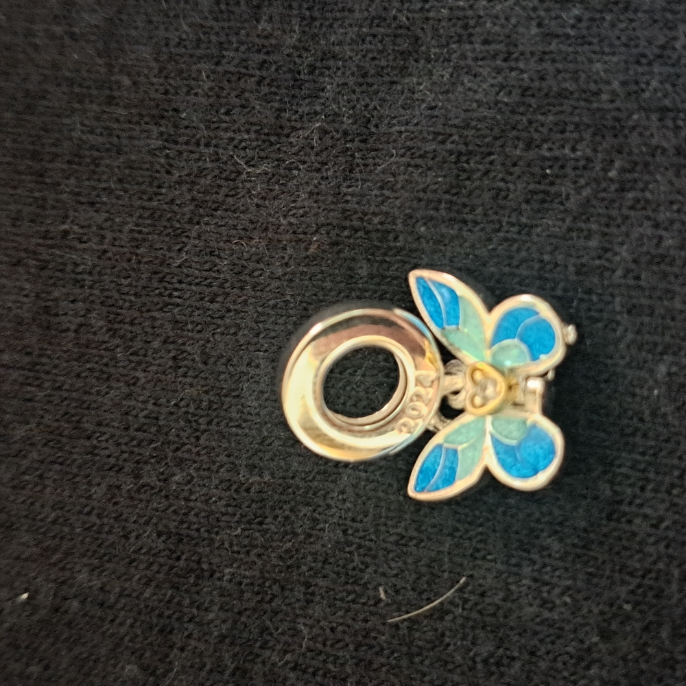 Silver and Blue Club Charm